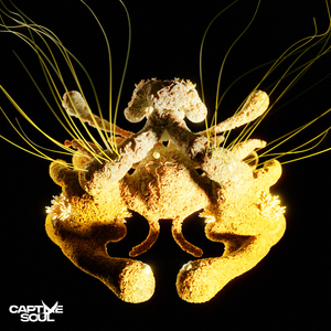 Gay瘦老头互吃鳮吧视频
